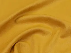 Poseidon (curcuma)